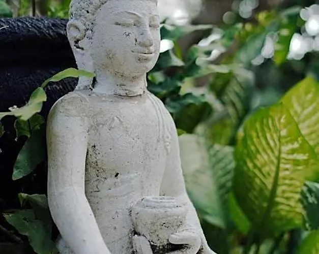 Sattva Garden House *